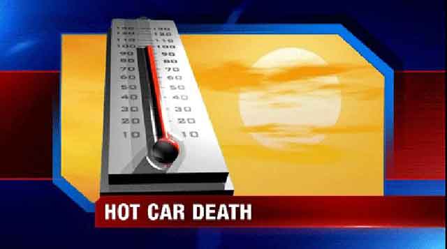 baby hot car