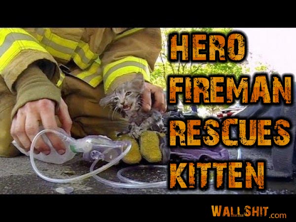hero fireman saves kitten go pro
