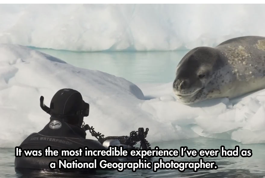 national geographic photographer