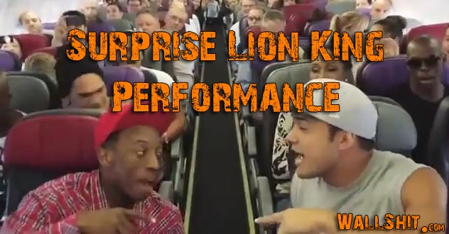 lion king on plane