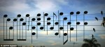 birds on a wire song