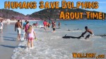 humans saving dolphins