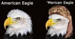 Merican Eagle