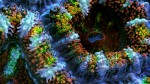 slow life video underwater